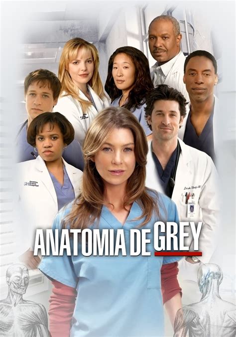 anatomia de grey temporada 1 torrent